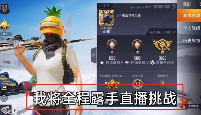 和平精英【EAD内部】辅助